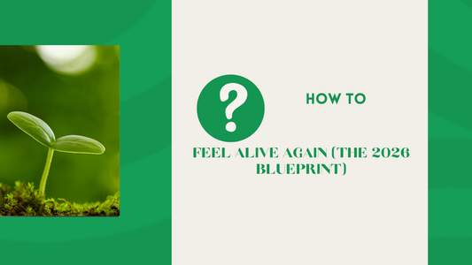 The New Year Energy Blueprint: How to Feel Alive Again (When Christmas Nearly Finished You Off)