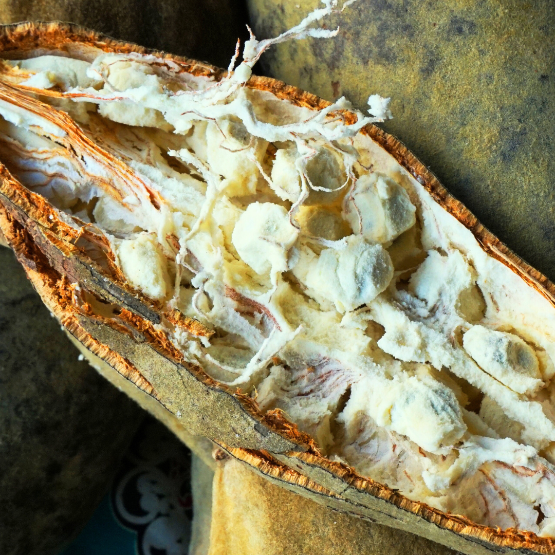 Baobab Energy Drink | Mayi | Catalyse Life Drinks