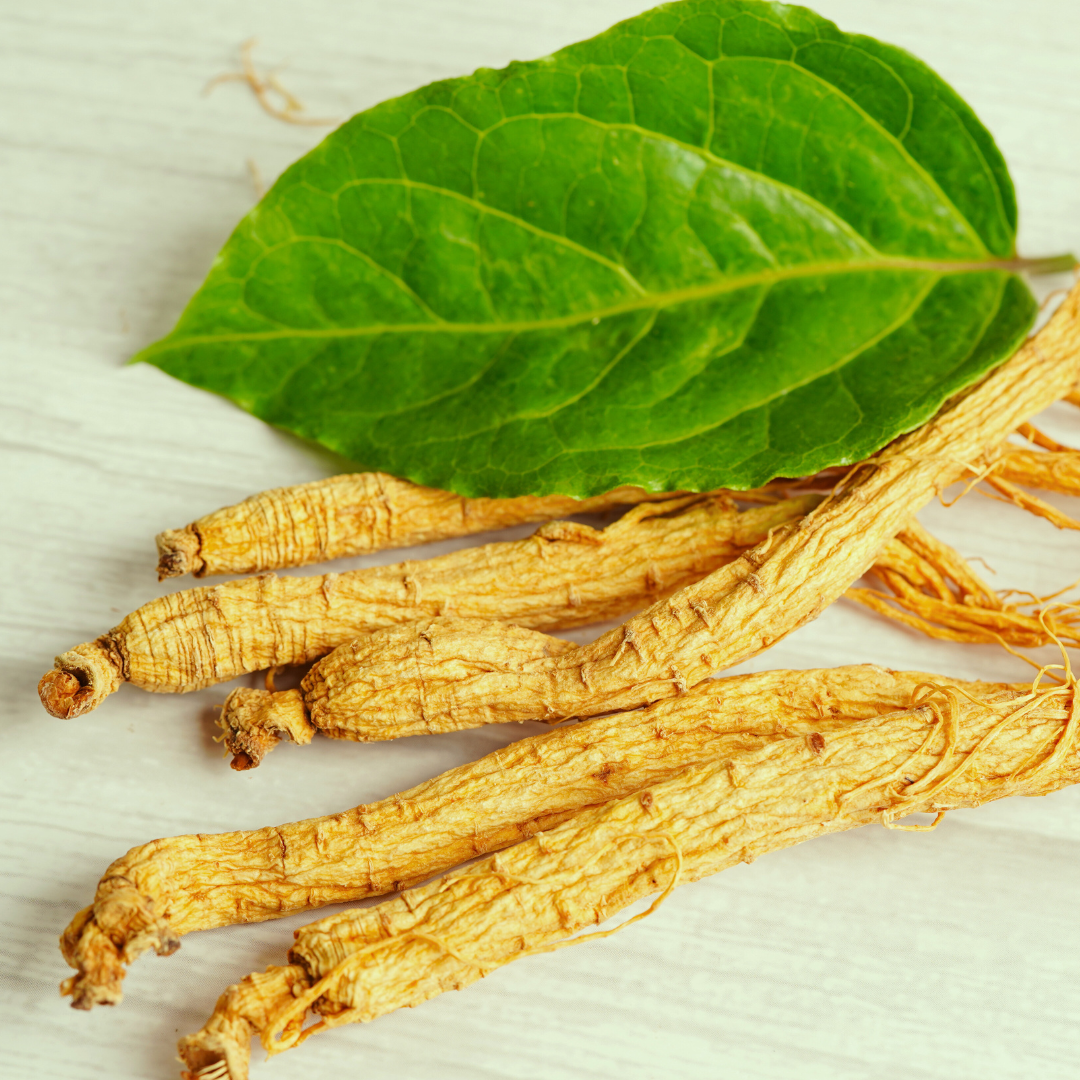 Ginseng Energy Drink | Mayi | Catalyse Life Drinks