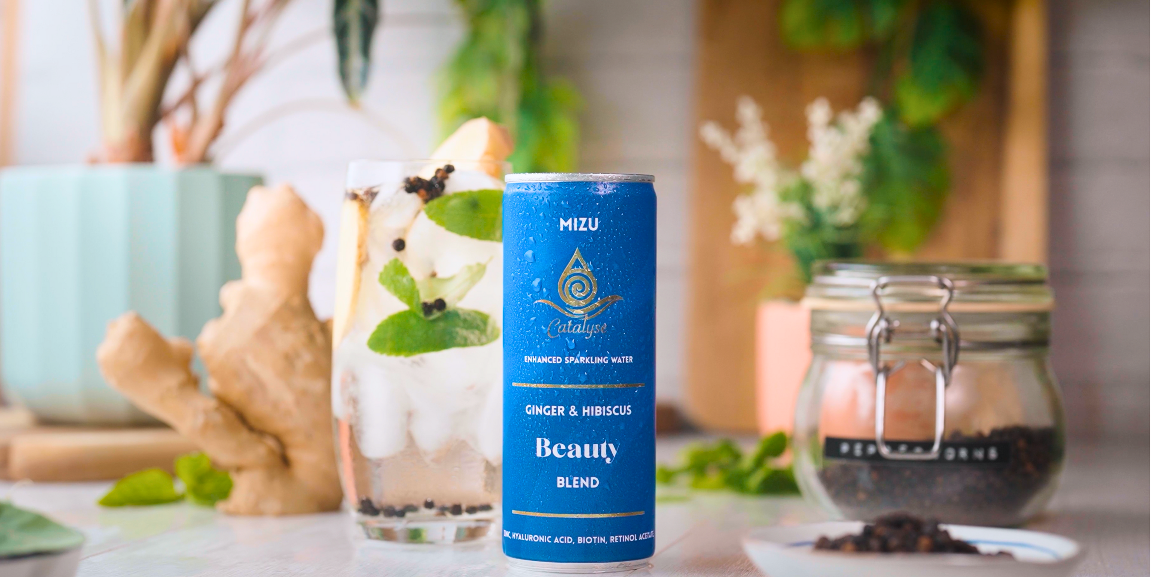 Alcohol Free Mocktails - Wellness Drinks