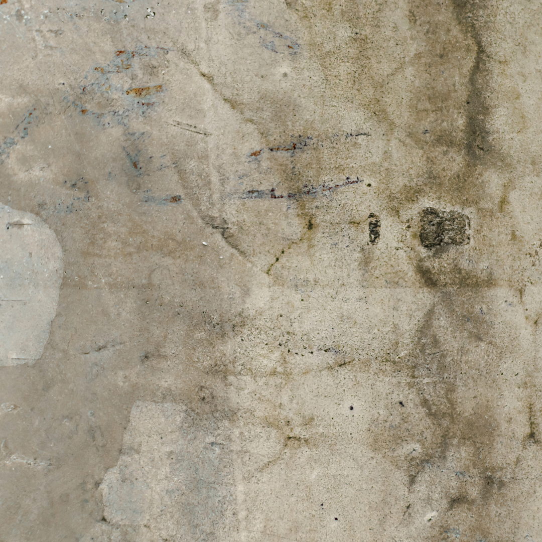 Zinc Immunity Drink | Coral | Catalyse Life Drinks