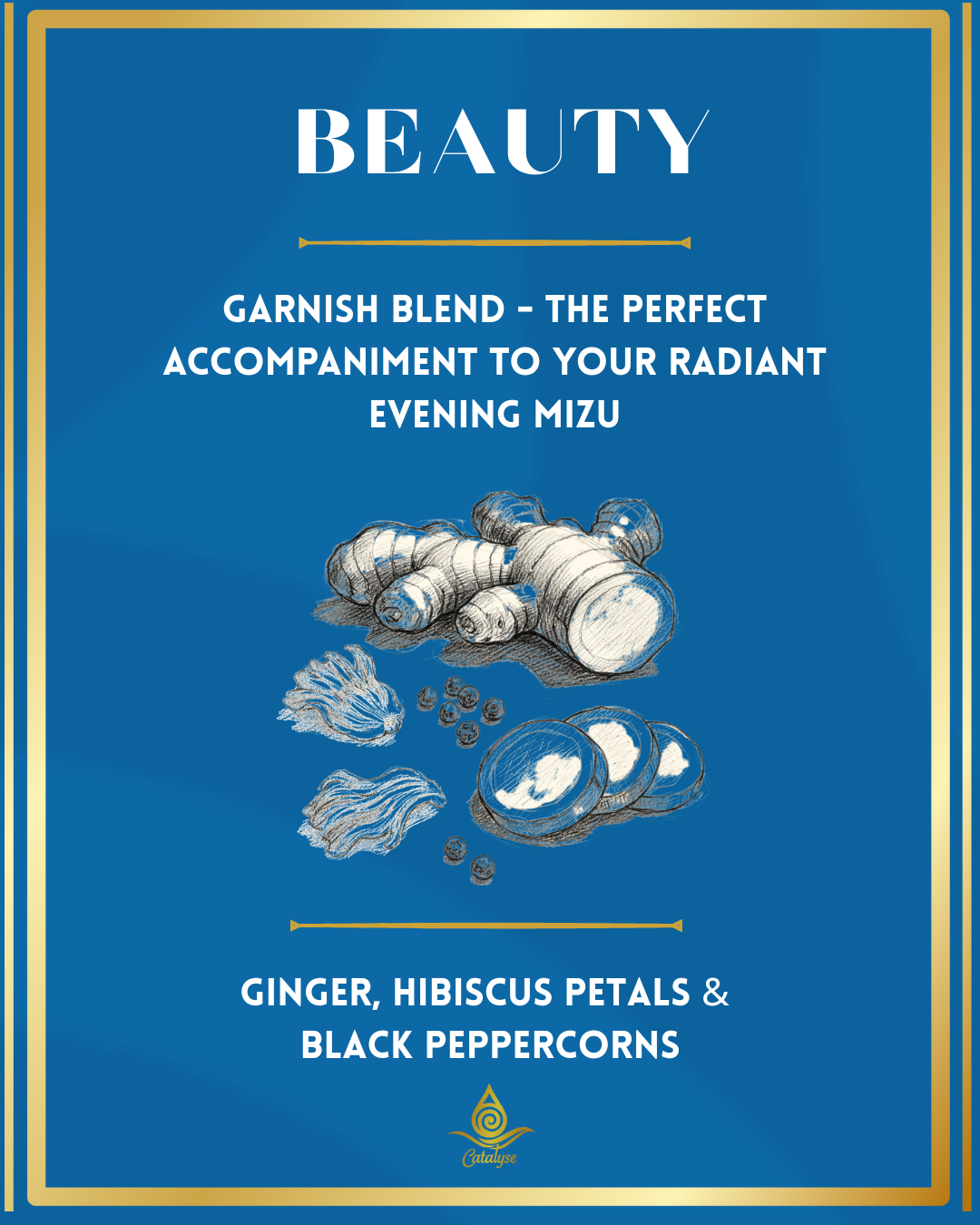 Mizu Garnish Kit | Mocktails & Cocktails Garnish