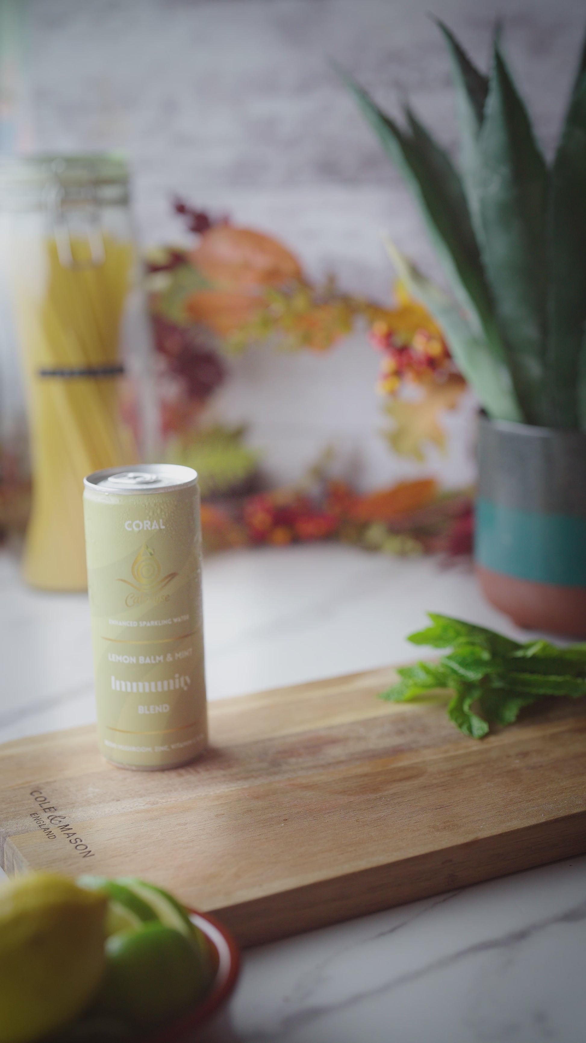 Mocktail recipes | Catalyse | Coral